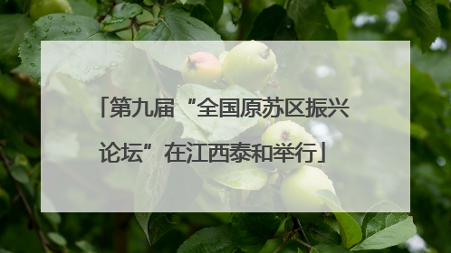 第九届“全国原苏区振兴论坛”在江西泰和举行