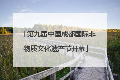 第九届中国成都国际非物质文化遗产节开幕