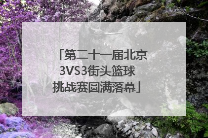 第二十一届北京3VS3街头篮球挑战赛圆满落幕