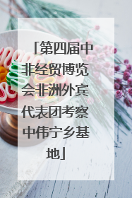 第四届中非经贸博览会非洲外宾代表团考察中伟宁乡基地