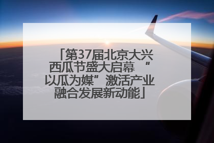 第37届北京大兴西瓜节盛大启幕 “以瓜为媒”激活产业融合发展新动能