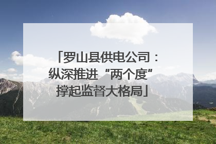 罗山县供电公司：纵深推进“两个度” 撑起监督大格局