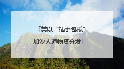 美以“插手包揽”加沙人道物资分发