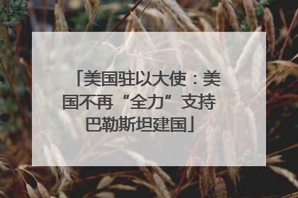 美国驻以大使：美国不再“全力”支持巴勒斯坦建国