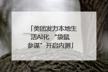 美团发力本地生活AI化 “袋鼠参谋”开启内测