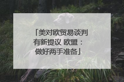 美对欧贸易谈判有新提议 欧盟：做好两手准备