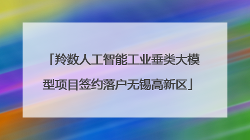 羚数人工智能工业垂类大模型项目签约落户无锡高新区