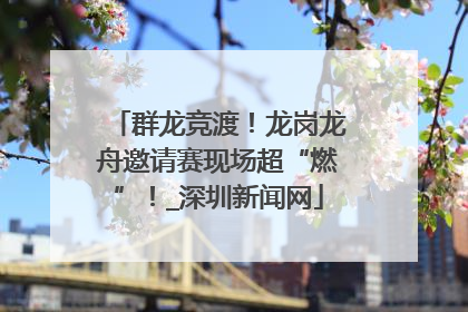 群龙竞渡！龙岗龙舟邀请赛现场超“燃”！_深圳新闻网