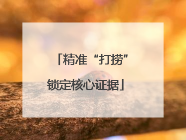 精准“打捞”锁定核心证据