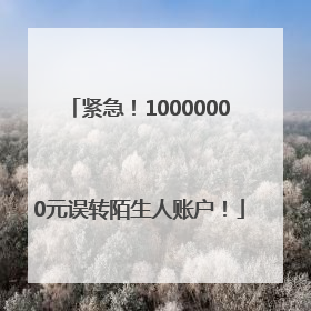 紧急！10000000元误转陌生人账户！