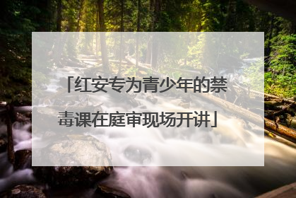 红安专为青少年的禁毒课在庭审现场开讲