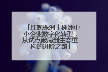 红观株洲丨株洲中小企业数字化转型：从试点破局到生态重构的进阶之路