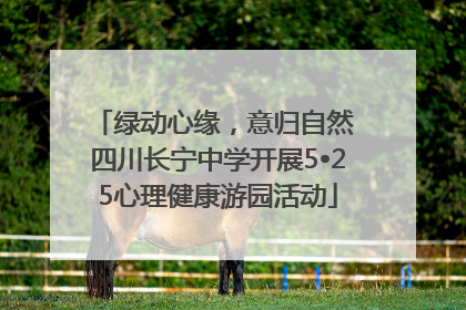 绿动心缘，意归自然 四川长宁中学开展5•25心理健康游园活动