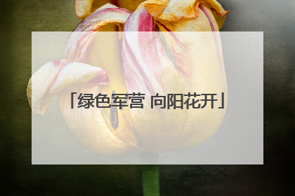 绿色军营 向阳花开