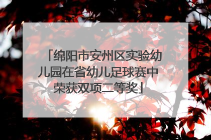 绵阳市安州区实验幼儿园在省幼儿足球赛中荣获双项二等奖