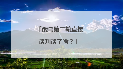 俄乌第二轮直接谈判谈了啥？