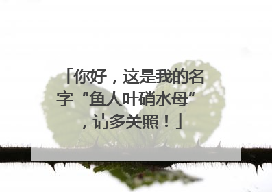 你好，这是我的名字“鱼人叶硝水母”，请多关照！