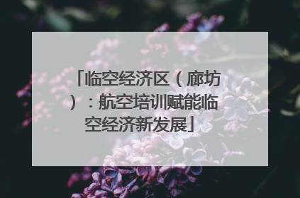 临空经济区（廊坊）：航空培训赋能临空经济新发展