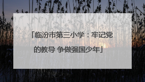 临汾市第三小学：牢记党的教导 争做强国少年