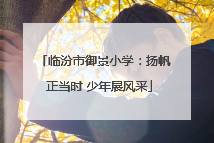 临汾市御景小学：扬帆正当时 少年展风采