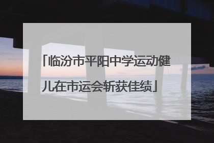 临汾市平阳中学运动健儿在市运会斩获佳绩