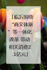 临沂围绕“商文体旅”等一体化改革 带动相关消费2.1亿元