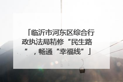 临沂市河东区综合行政执法局精修“民生路”，畅通“幸福线”