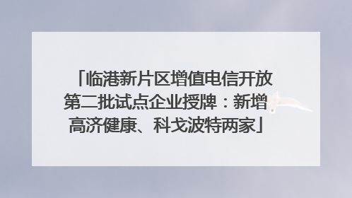 临港新片区增值电信开放第二批试点企业授牌：新增高济健康、科戈波特两家