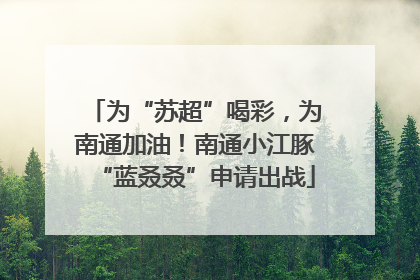 为“苏超”喝彩，为南通加油！南通小江豚“蓝叒叒”申请出战