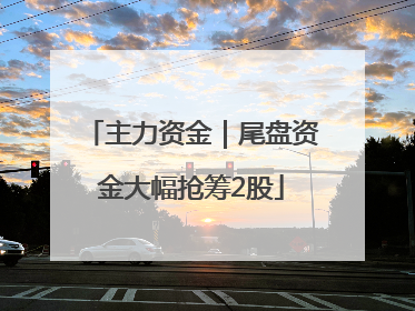 主力资金｜尾盘资金大幅抢筹2股