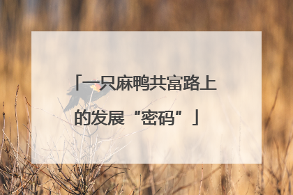 一只麻鸭共富路上的发展“密码”