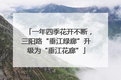一年四季花开不断，三阳路“垂江绿廊”升级为“垂江花廊”