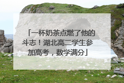 一杯奶茶点燃了他的斗志！湖北高二学生参加高考，数学满分