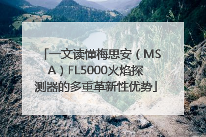 一文读懂梅思安（MSA）FL5000火焰探测器的多重革新性优势