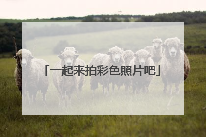 一起来拍彩色照片吧