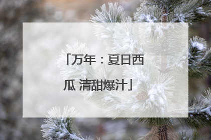 万年：夏日西瓜 清甜爆汁