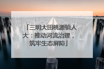 三明大田桃源镇人大：推动河流治理，筑牢生态屏障