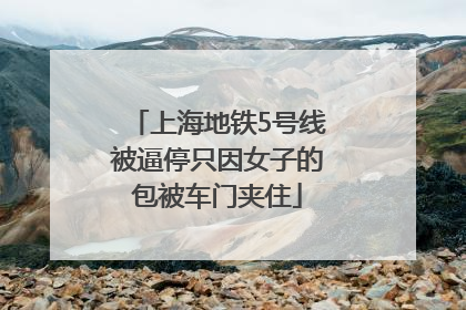 上海地铁5号线被逼停只因女子的包被车门夹住