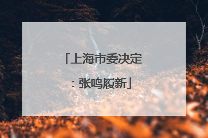 上海市委决定：张鸣履新