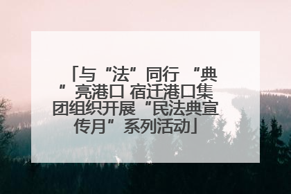 与“法”同行 “典”亮港口 宿迁港口集团组织开展“民法典宣传月”系列活动