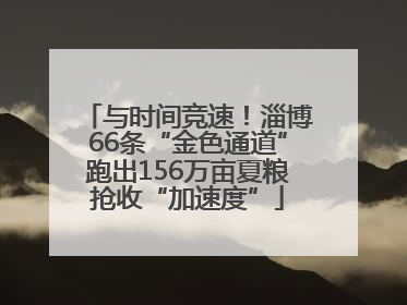 与时间竞速！淄博66条“金色通道”跑出156万亩夏粮抢收“加速度”