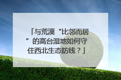 与荒漠“比邻而居”的高台湿地如何守住西北生态防线？