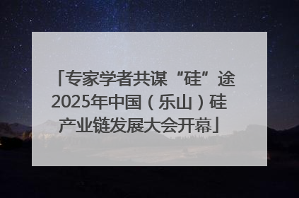 专家学者共谋“硅”途 2025年中国（乐山）硅产业链发展大会开幕