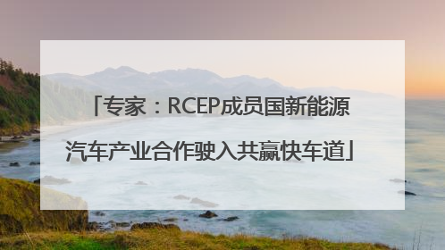 专家：RCEP成员国新能源汽车产业合作驶入共赢快车道
