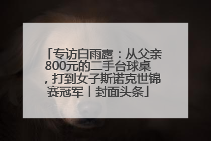 专访白雨露：从父亲800元的二手台球桌，打到女子斯诺克世锦赛冠军丨封面头条