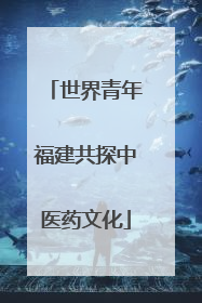 世界青年福建共探中医药文化