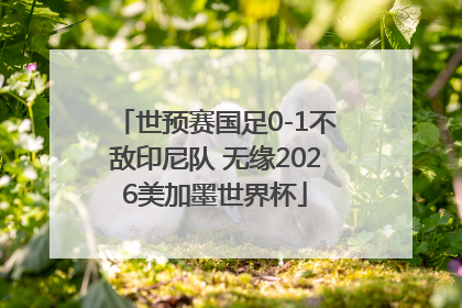 世预赛国足0-1不敌印尼队 无缘2026美加墨世界杯