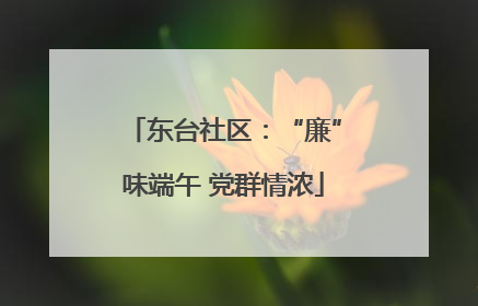 东台社区：“廉”味端午 党群情浓