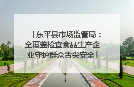 东平县市场监管局：全覆盖检查食品生产企业守护群众舌尖安全