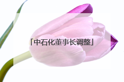 中石化董事长调整